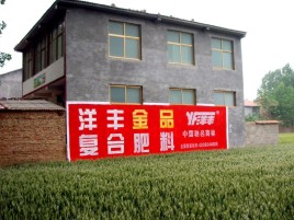 嘉善如何让墙体广告展现最大化效果