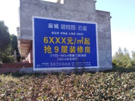 嘉善品牌公司青睐的墙体广告