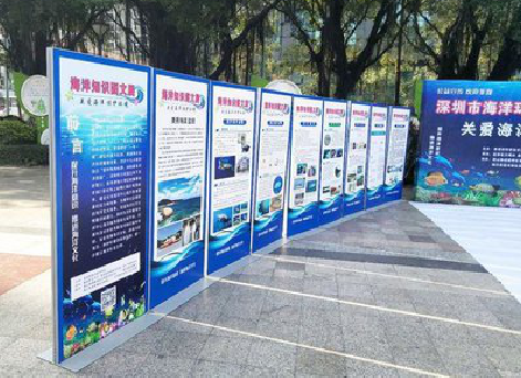 嘉善KT板的种类和知识。